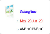 Picking Time