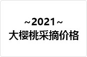 北京樱桃采摘价格