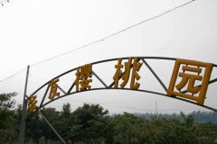樱桃园驱鸟设备升级为防鸟网，保护樱桃更有力